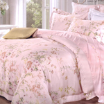 ���������� ����� �� ����� D'Loale 1092, �������