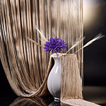 ������� �������, ����� �� ����� �������, ����