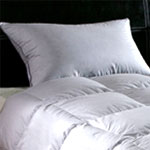 ������� ������� Argelia, Primavelle ������