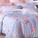 ���������� ����� �� ����� D'Loale 0152, �������