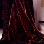 ���� Bugatti 2953/817, ��������