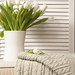 ���� ������� Imperio 36 ���������, ����������