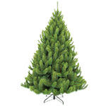 Triumph Tree, ����� �������