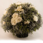 ����� Vermont  V05-16610