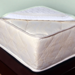 ����������� ������������� Liana green Primavelle, ������