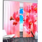 ��������� �����