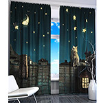 ��������� ���