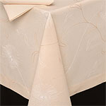 �������� Gerbera pearl