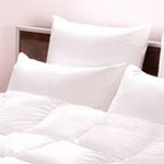 ������� ������� Felicia, Primavelle ������