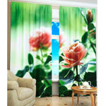 ��������� ����