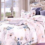 ���������� ����� �� ����� D'Loale 0111, �������