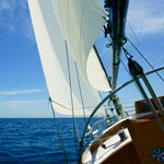 �������� Antimarker eco 420