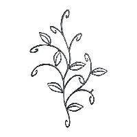 ����� IVY �����