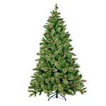 Black Box, ��� Regina