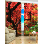 ��������� �����