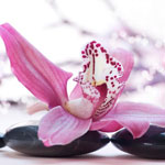 �������� Antimarker eco 428