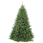 Triumph Tree, �����  ���������