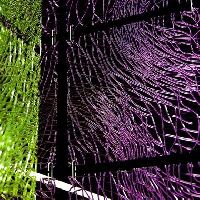 ����� SILK