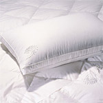 ������ ������� TAC Shiny, ������