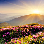 �������� Antimarker eco 436