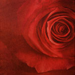 �������� Antimarker eco 421