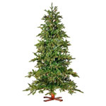 Black Box, ��� Logan