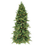 Triumph Tree, ��� ���������� � ��������, �����3�