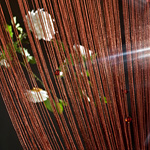 ������� �������, ����� �� �����, ������. + ������