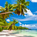 �������� Antimarker eco 424