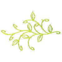 ����� IVY ����� ������