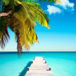 �������� Antimarker eco 423