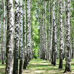 �������� Antimarker eco 417