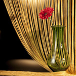 ������� �������, ����� �� ����� �������, ������